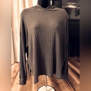 American Eagle Outfitters, long sleeved hooded pullover, size Small
